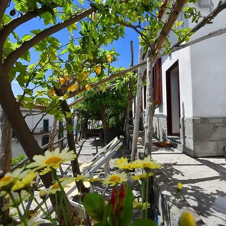 Dama Di Cuori Vakantiehuis Conca dei Marini